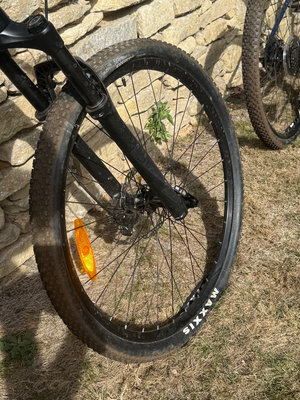 Giant Talon 1 29 2020