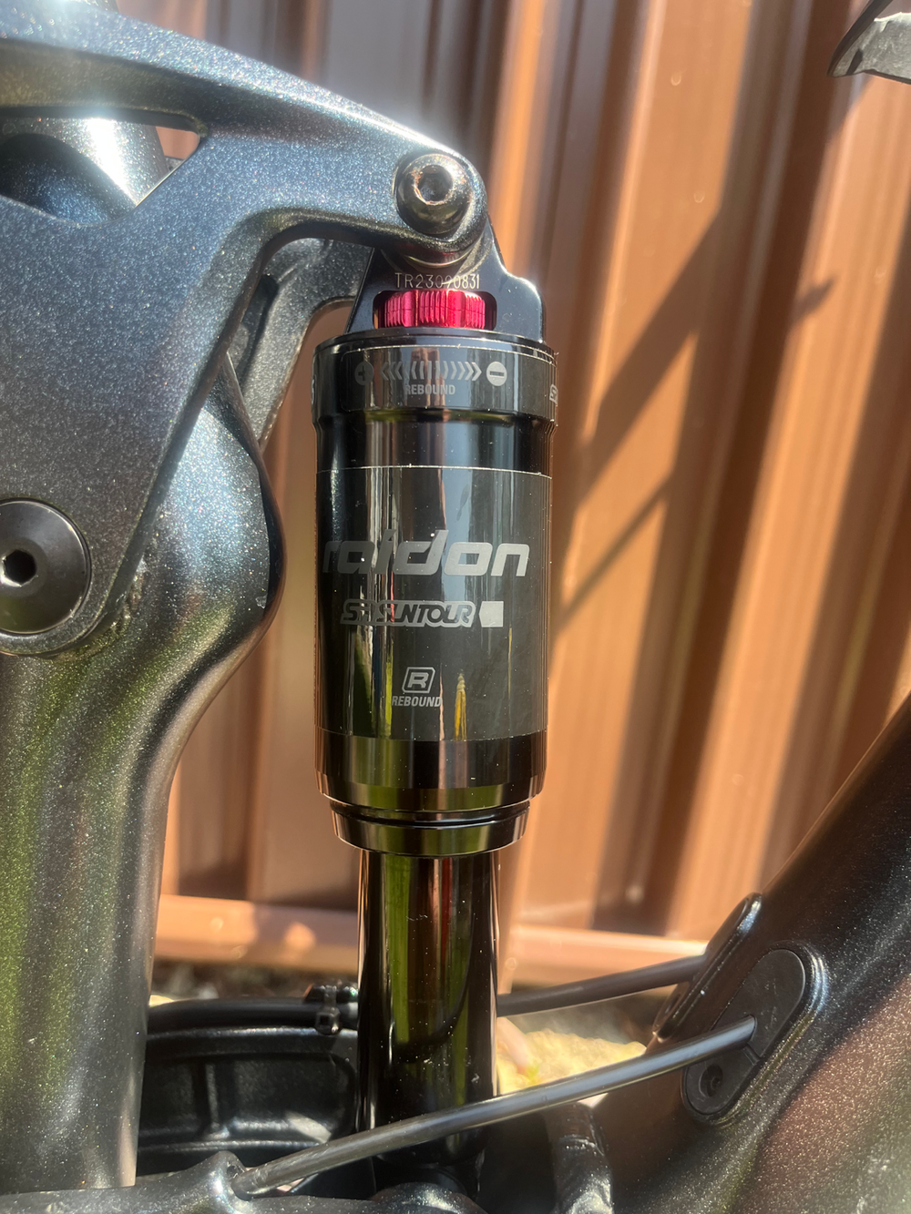 Giant Stance 29 2 2024