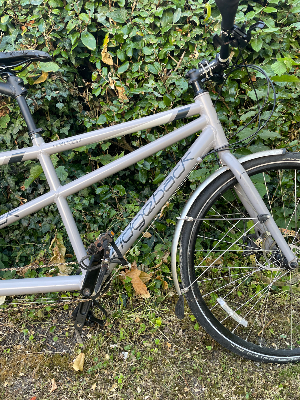 Ridgeback Tandem 2016