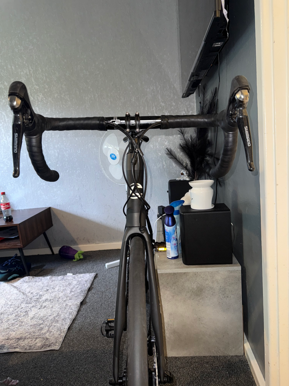 Cannondale Synapse Carbon Disc Ultegra 2020