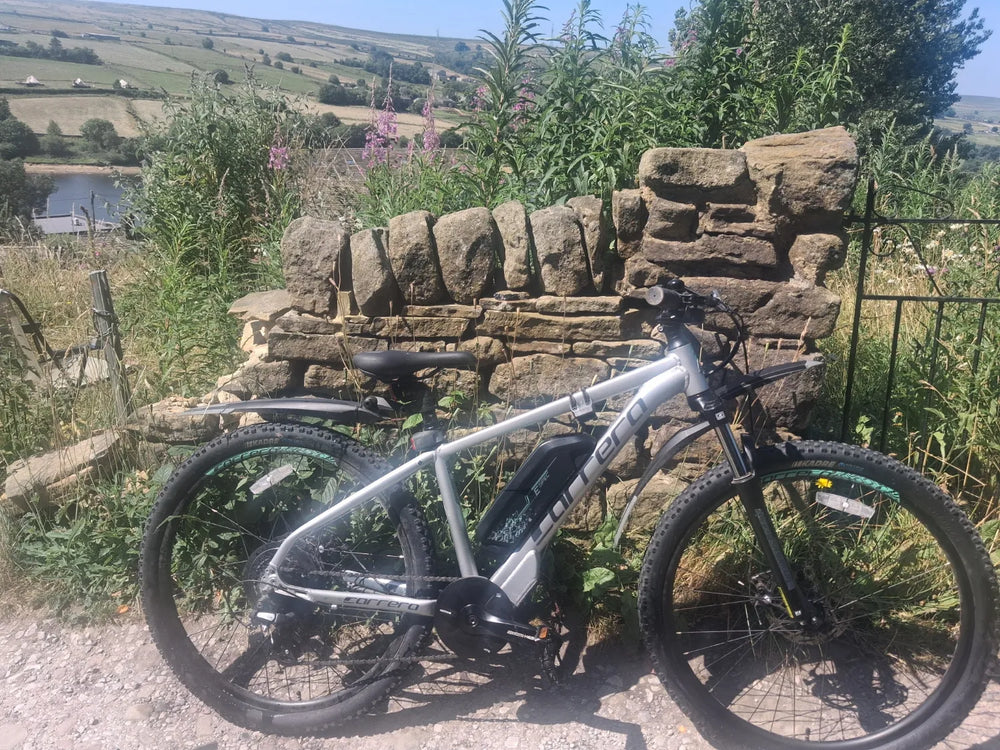 Carrera Vengeance-E Pro 2025