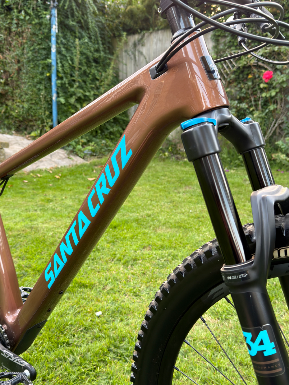 Santa Cruz Chameleon S / Carbon C / 29 2020