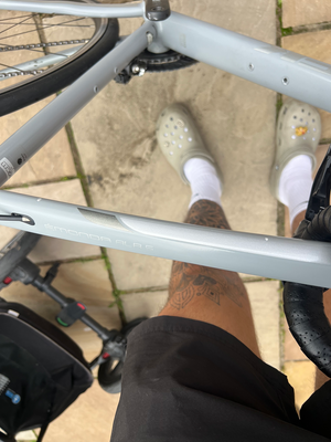 Trek Émonda ALR 5 2019