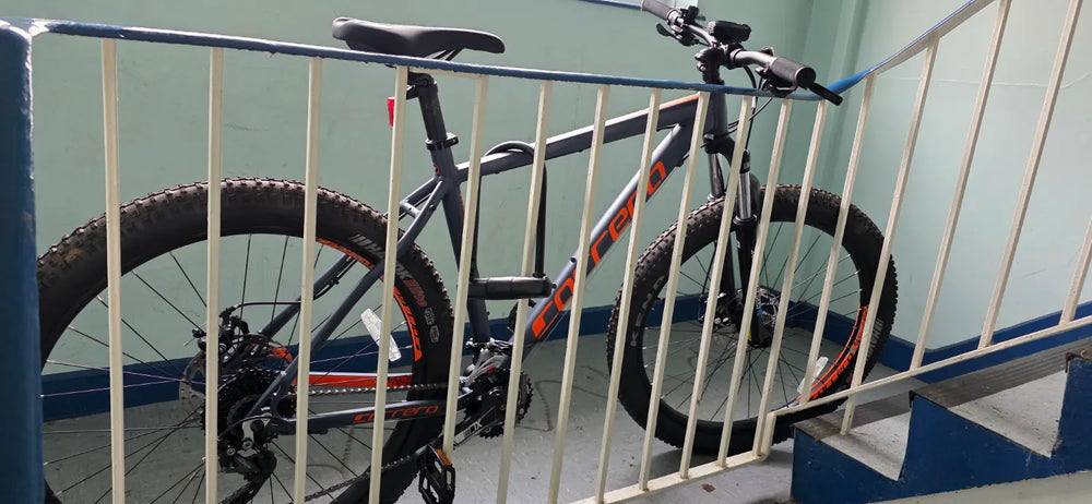 Carrera Vendetta 2020