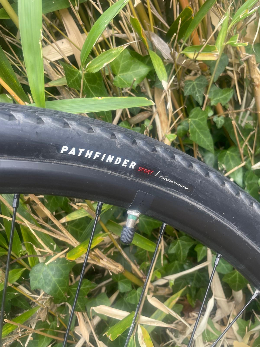 Specialized Sirrus X 2 0 2025