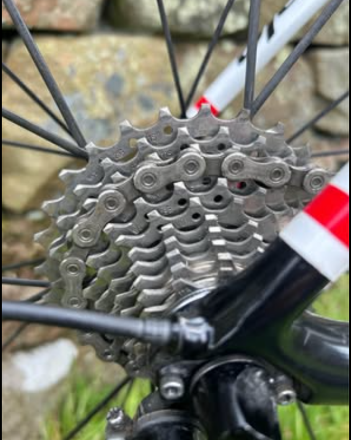 Cannondale Synapse Carbon 5 2017