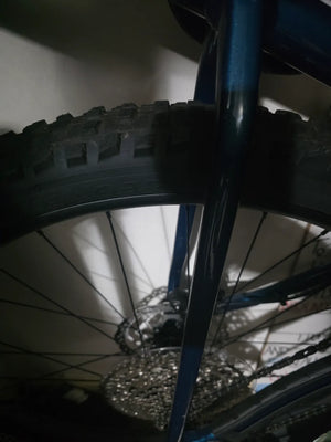 Trek Roscoe 7 2024