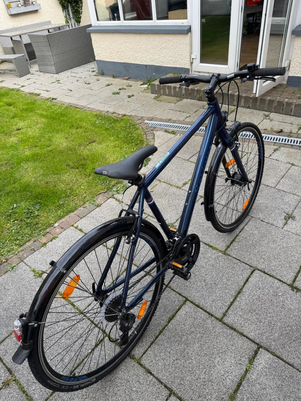 Serious Cedar S 2020