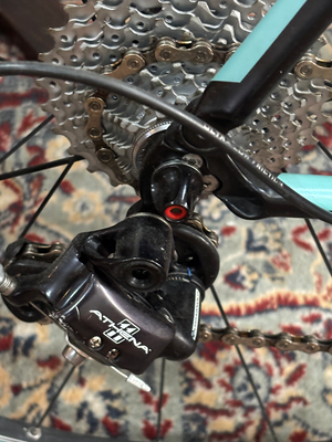Bianchi Sempre Athena 2011