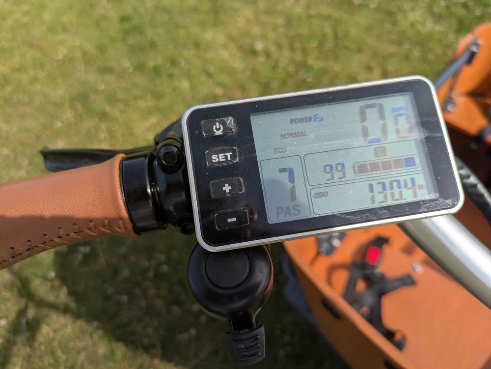 Babboe Curve E 2021