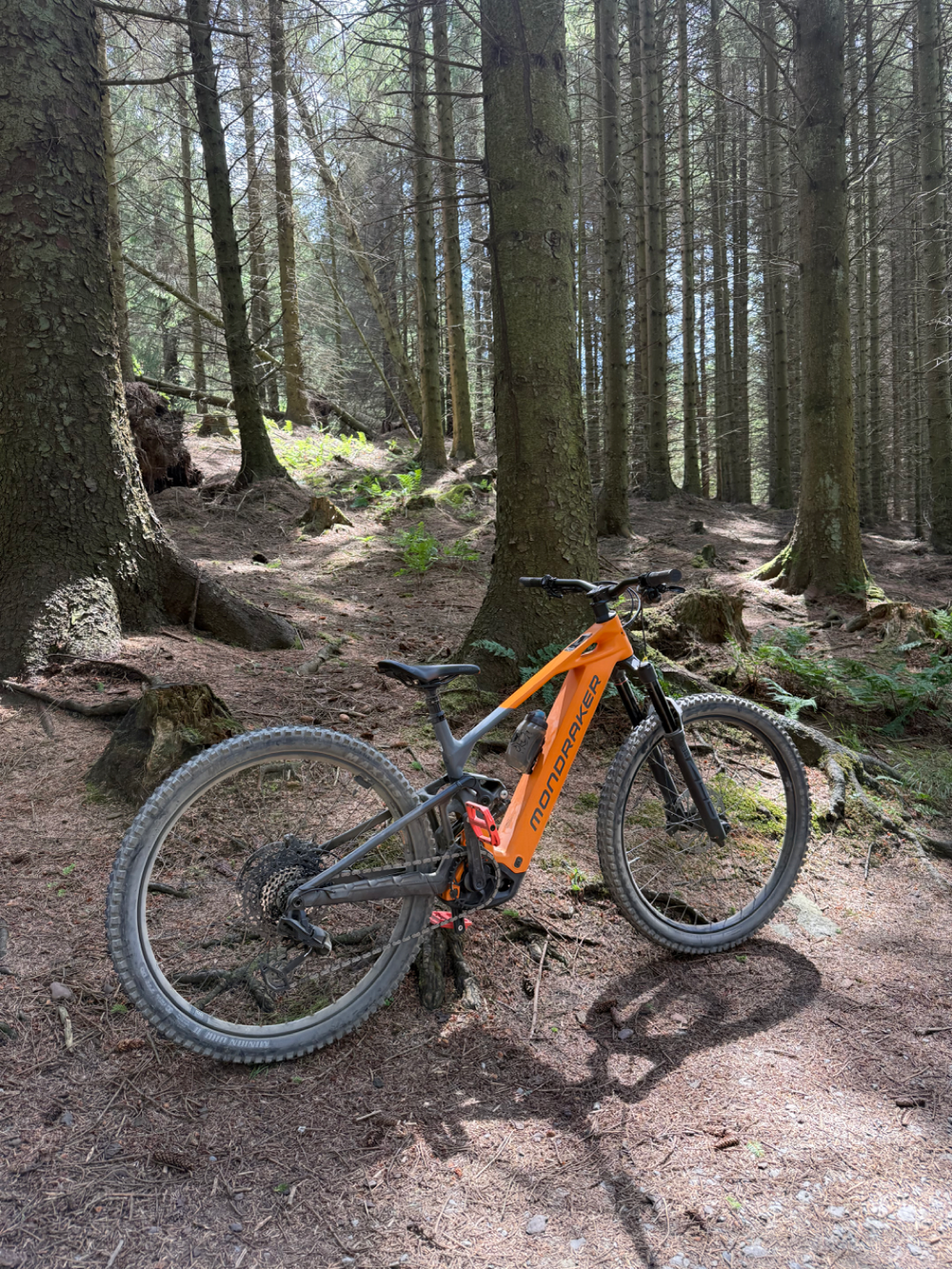 Mondraker Crafty Carbon S 2026