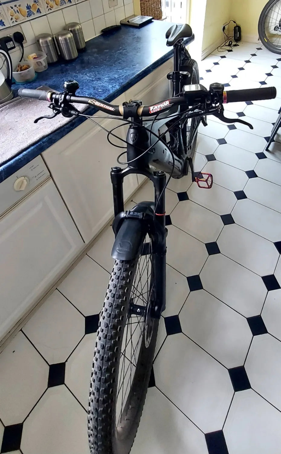 Trek Rail 9.5 2021