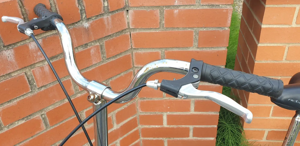 Raleigh Active Fold-s 2017