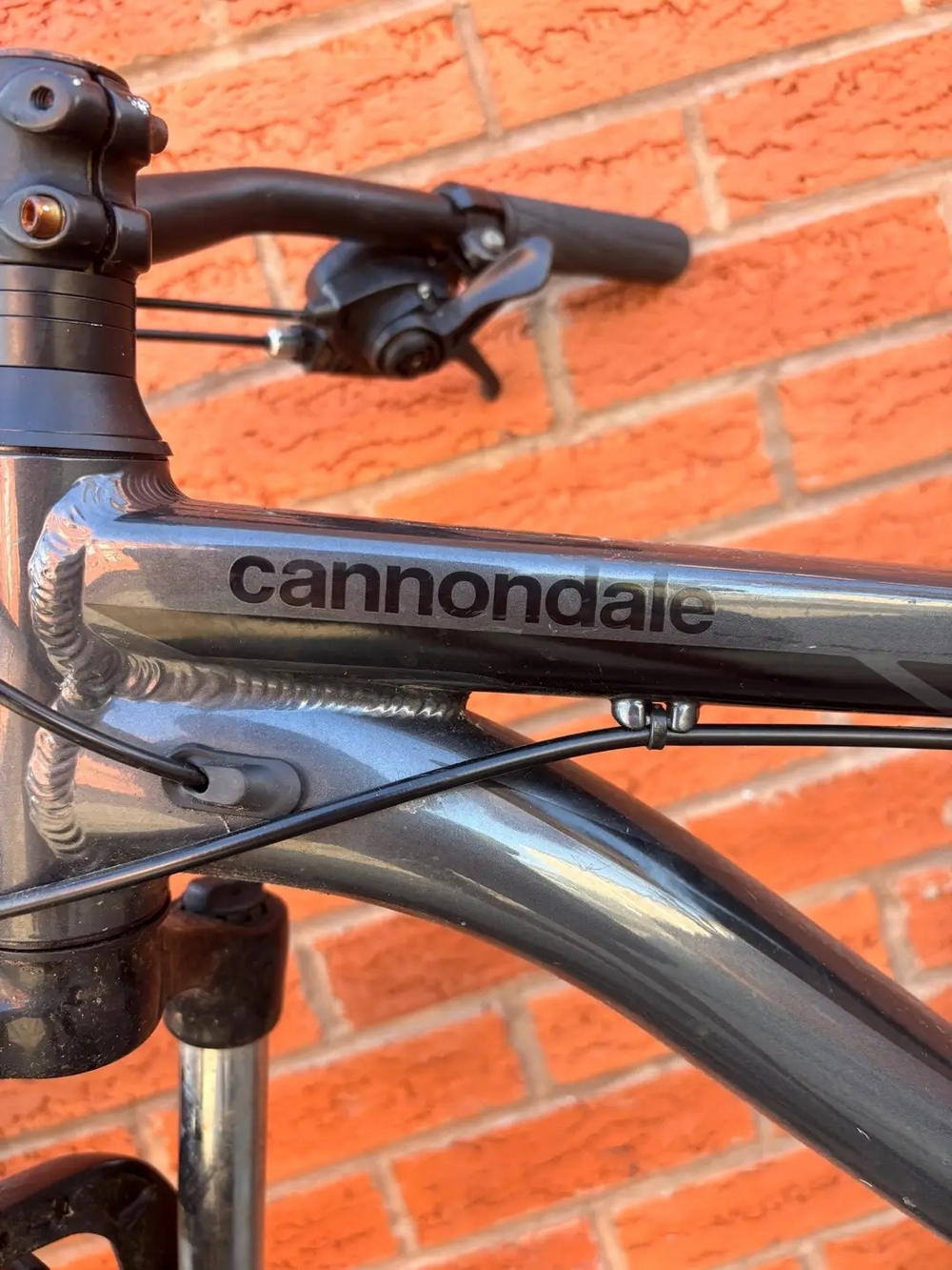 Cannondale Trail 5 2024