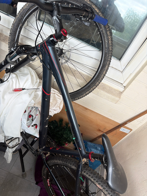 Felt Nine Comp 29 er 2012