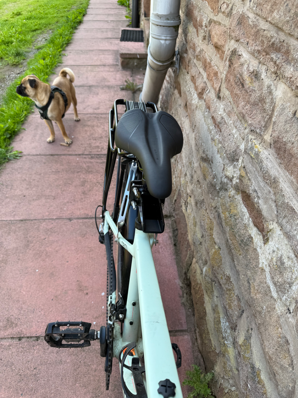 Canyon Grizl CF SL 7 2022
