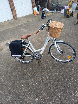 E Ranger Cruiser 2020