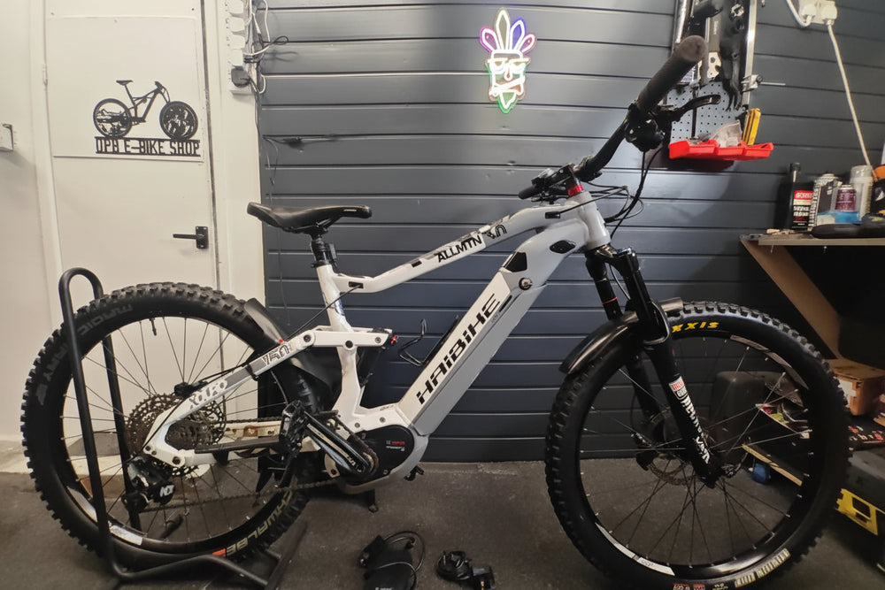 Haibike Xduro Allmtn 3.0 2025