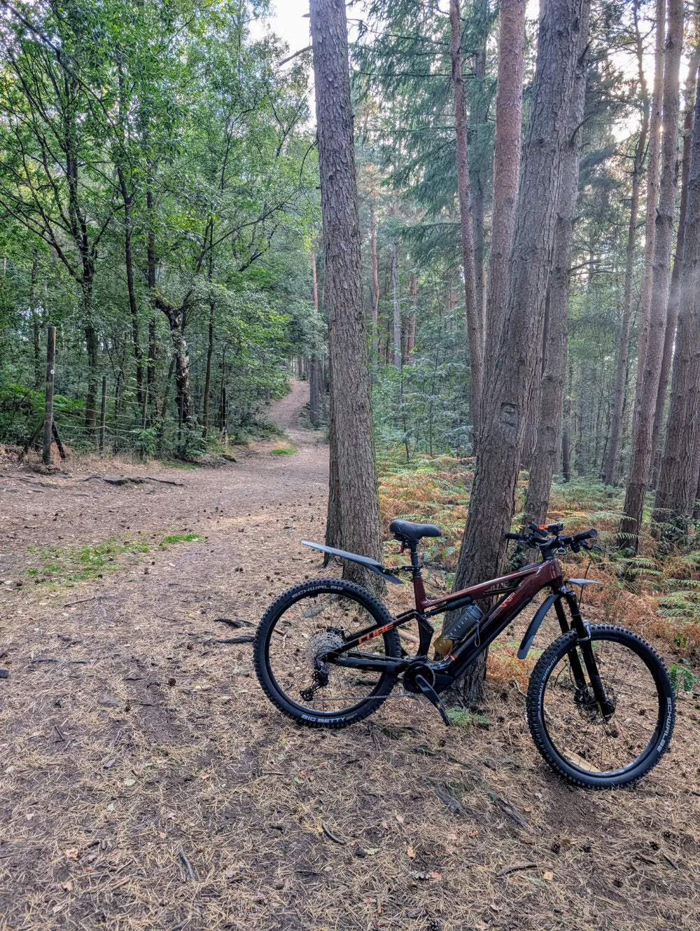 CUBE CUBE STEREO HYBRID ONE77 HPC RACE 800 2025