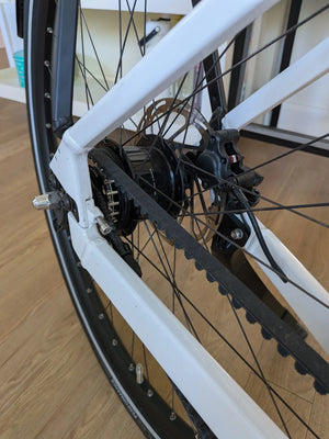 Riese and Muller UBN Six Silent 2024