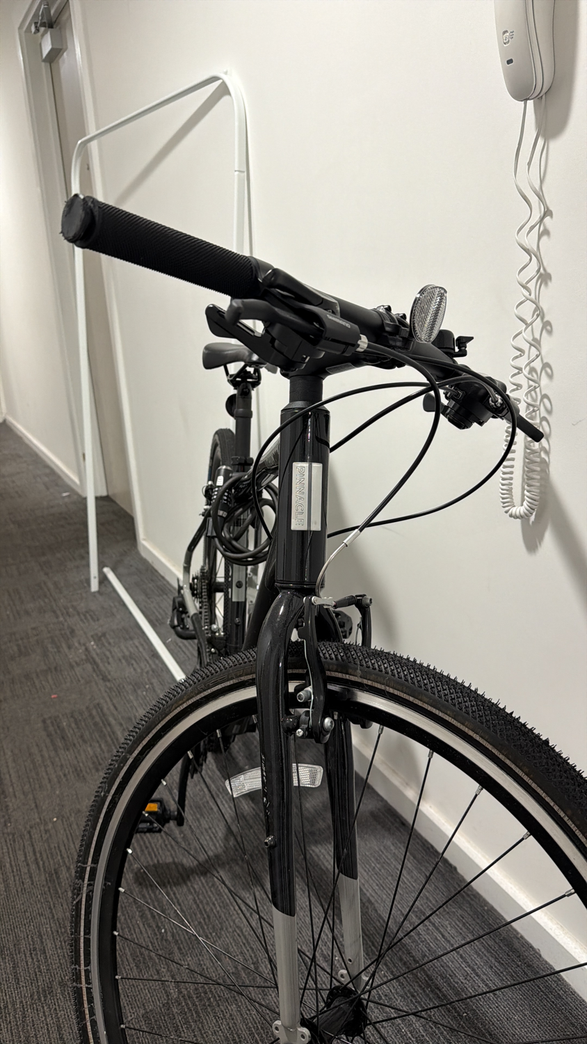 Pinnacle Lithium 1 2022