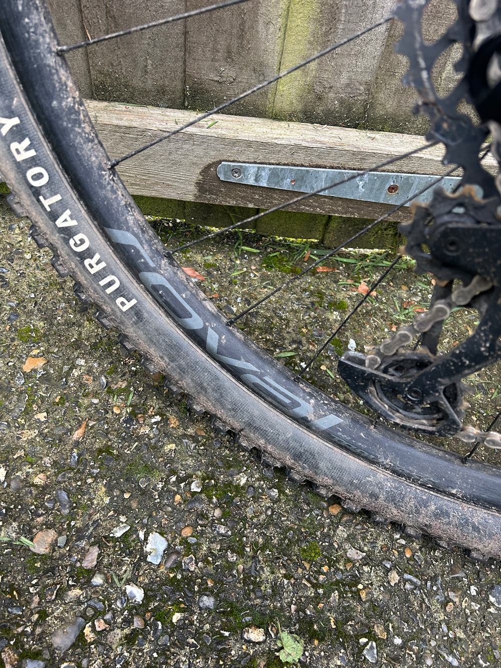 Specialized Stumpjumper Expert Carbon 29 2022