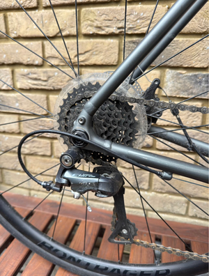 Trek Domane AL 2 Disc 2025