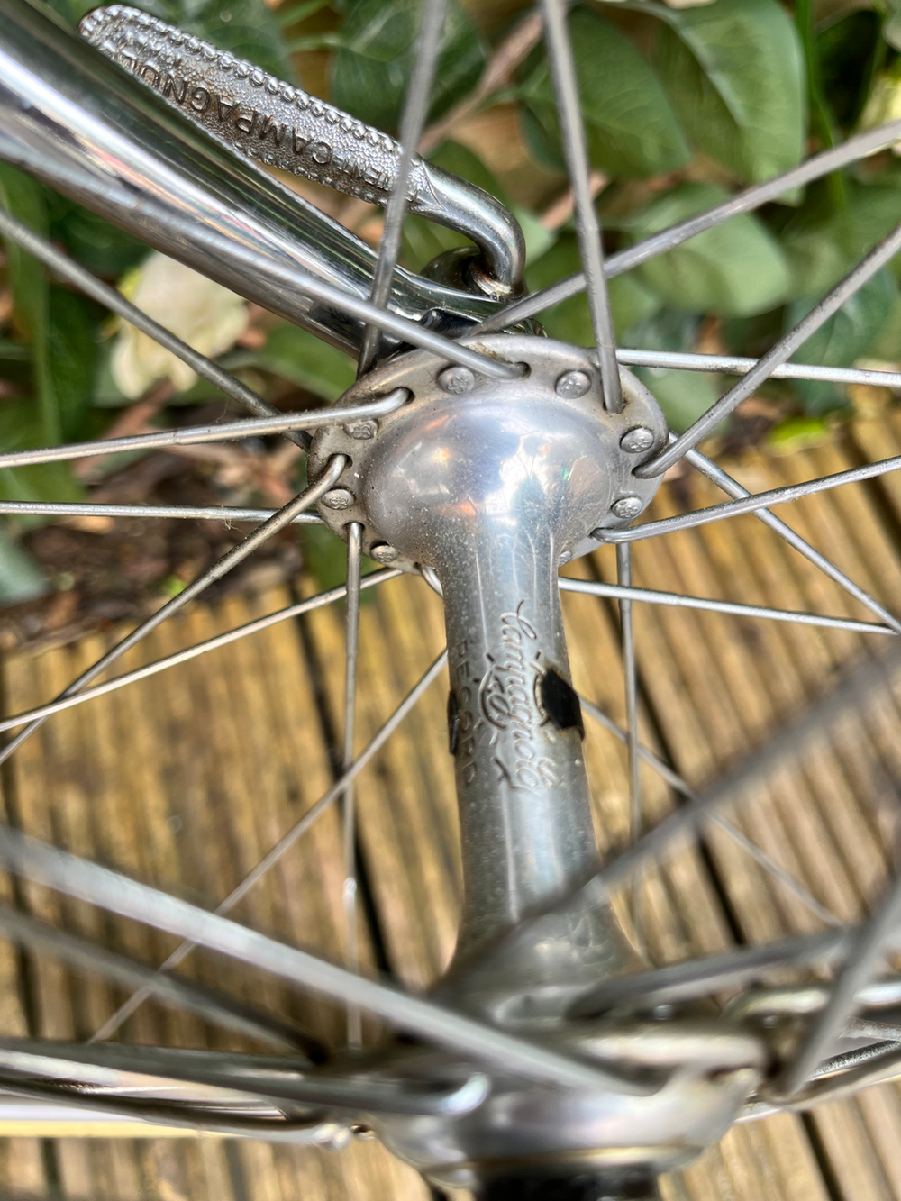 Colnago Super profil 1981