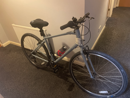 Ridgeback Comet 2024