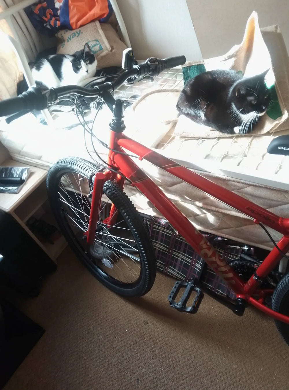 Apollo Evade Mens Mountain Bike 2023