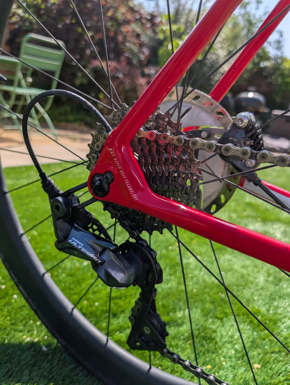 Focus Izalco Race 9.8 2020