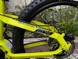 Lapierre Overvolt HT 24 Kids Child 2021