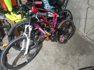 Giant Trance Jr 26 2007
