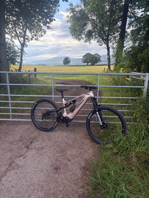 Haibike AllMtn CF 11 2025