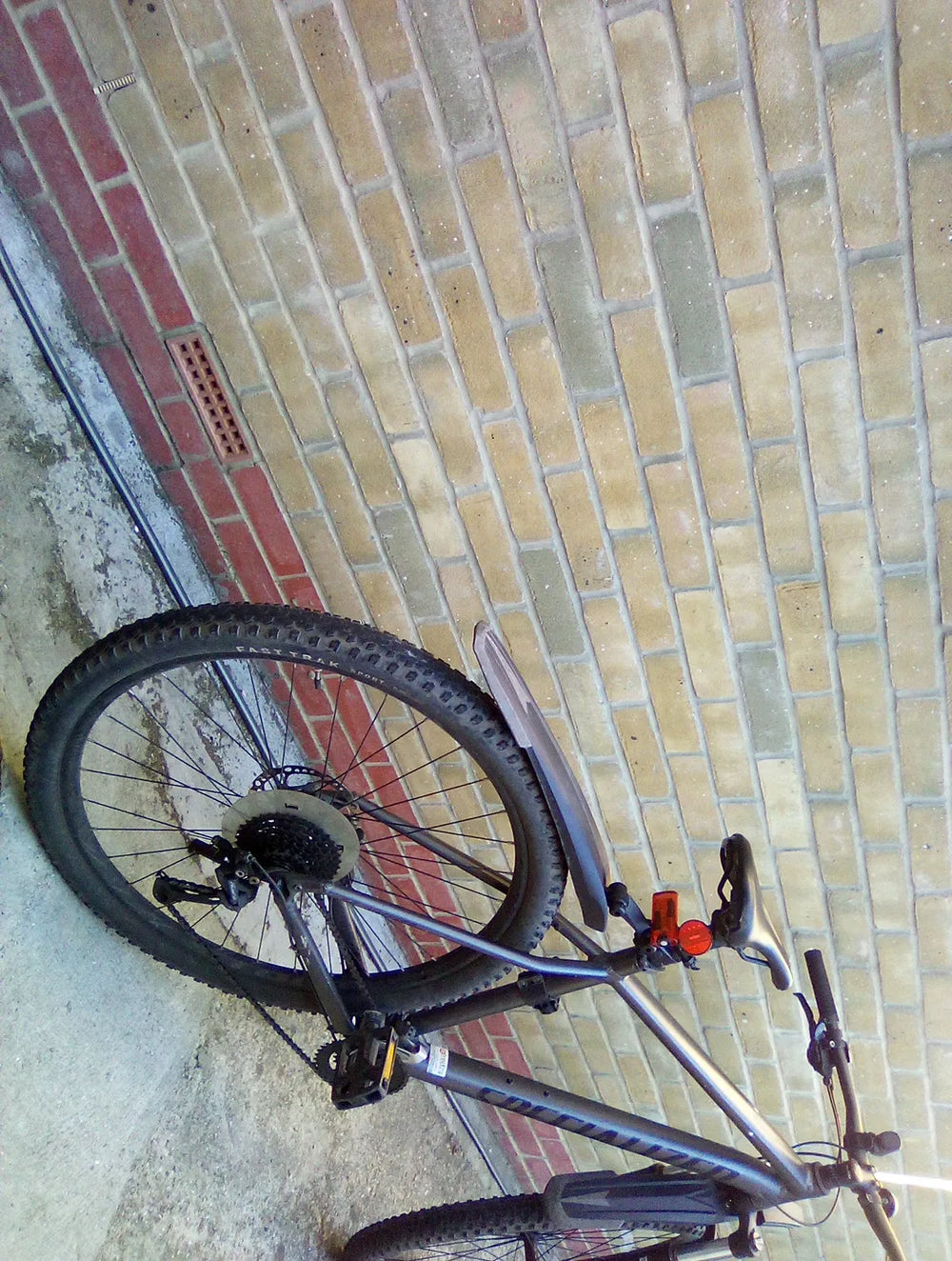 Specialized Rockhopper 29 2017