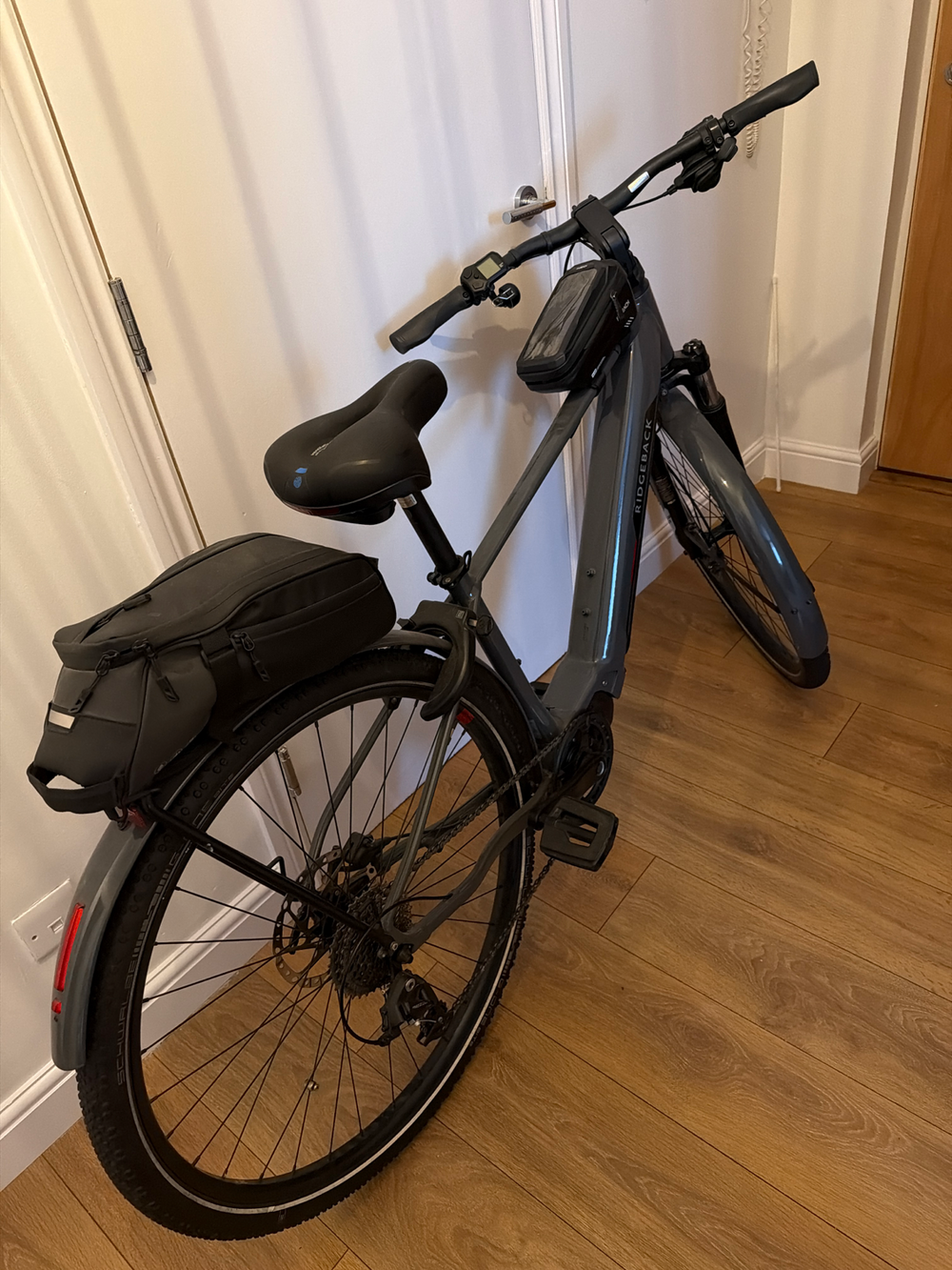 Ridgeback Advance 1 2024