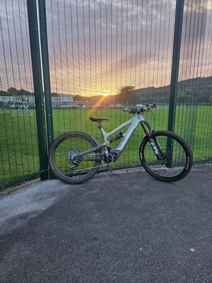 YT Decoy Shred 2019