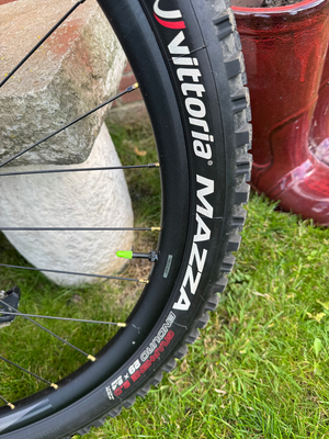 Giant Reign 2 29 Enduro 2020