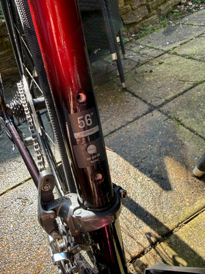 Trek Domane AL 2 Gen 4 2024