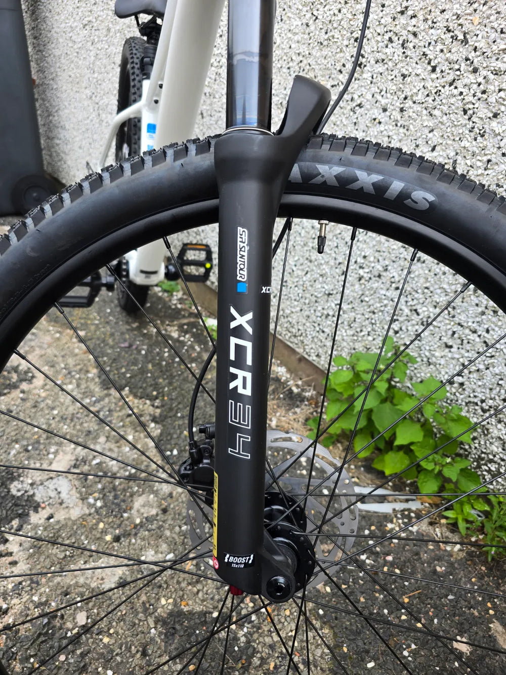 Whyte Secta R 2026