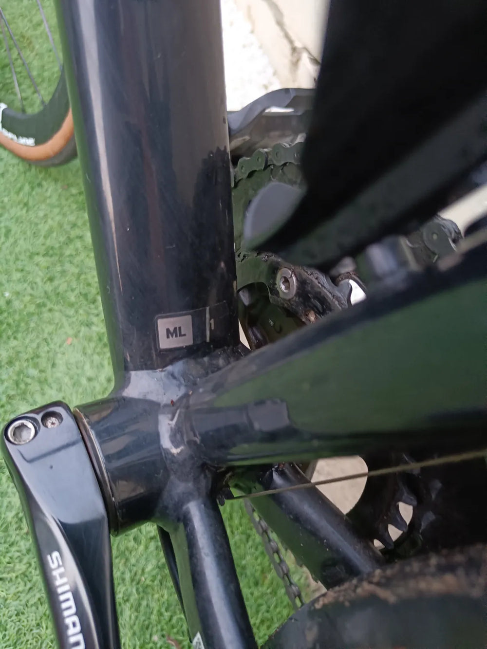 Giant Contend 1 2020 2021