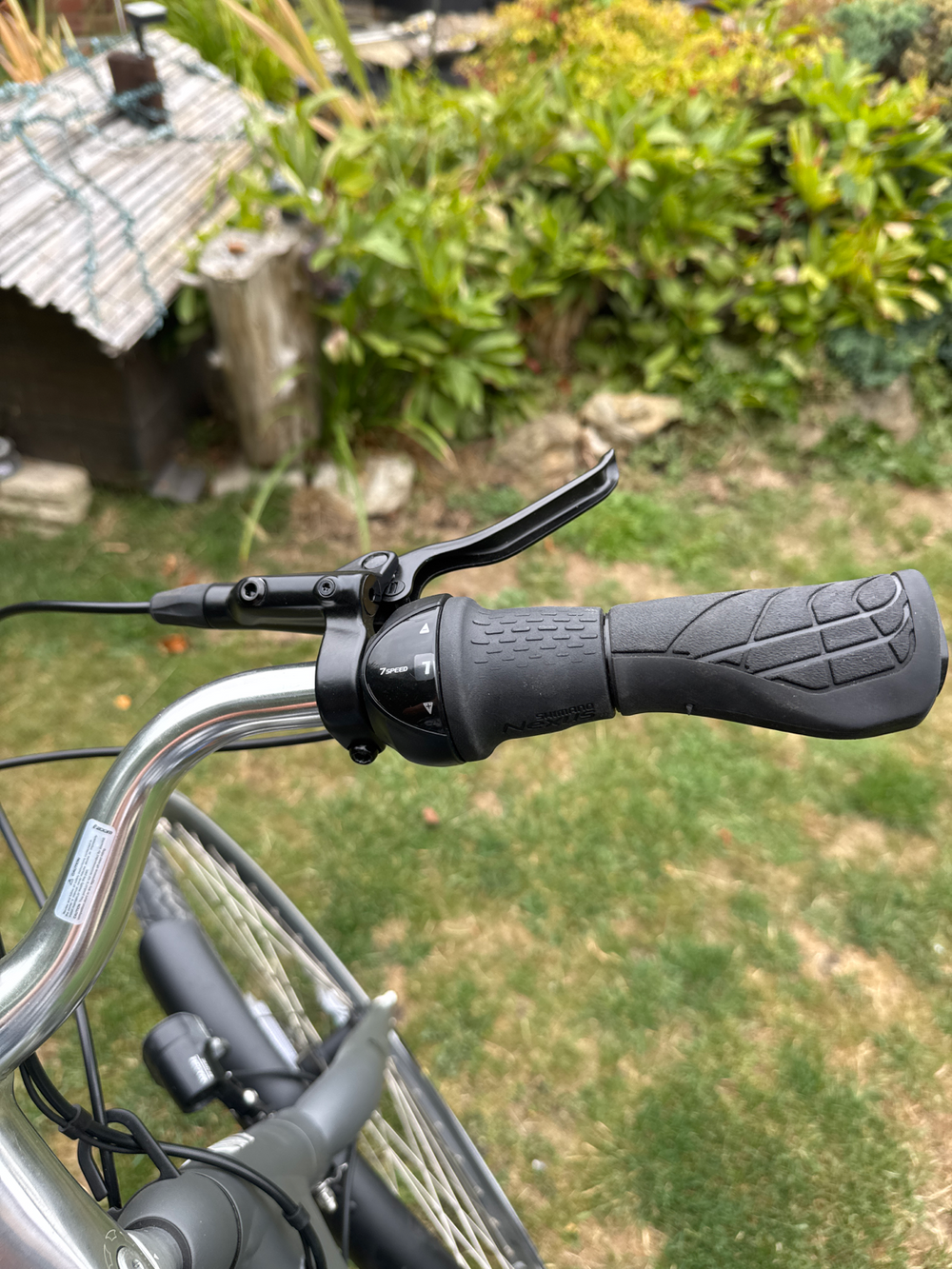Ridgeback Electron S2 2024