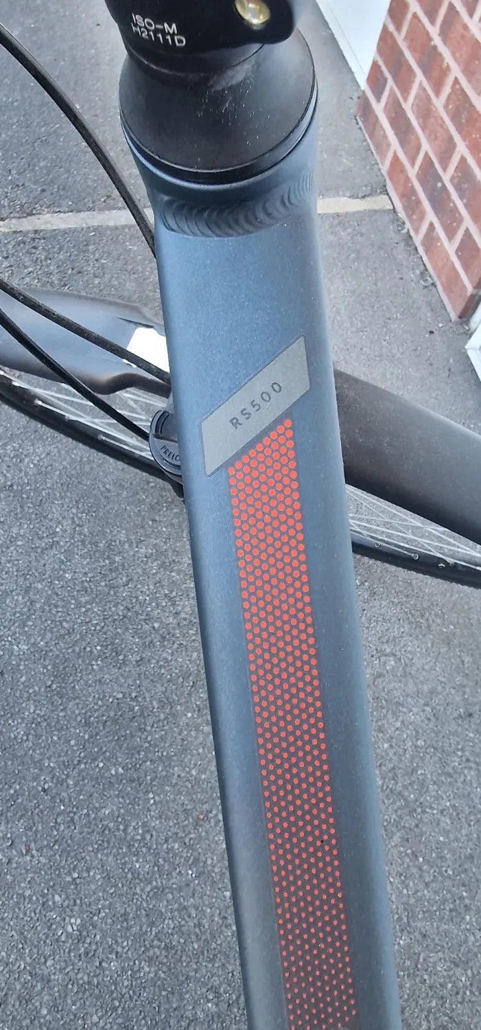 Riverside 500 2020