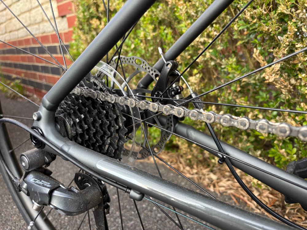 Trek Domane AL 2 2024