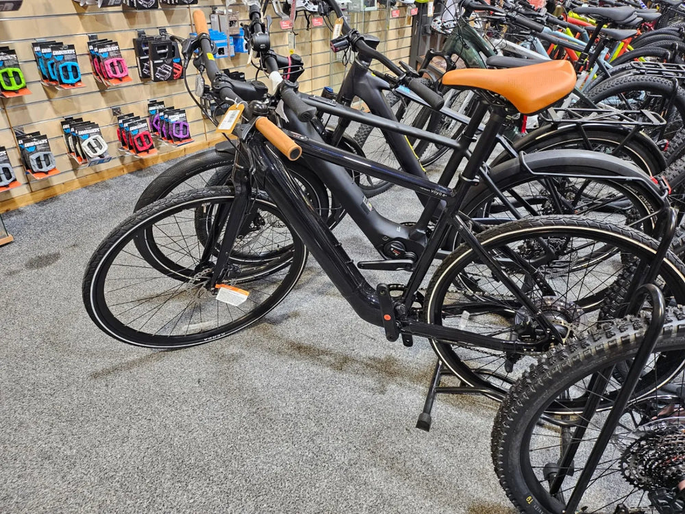 Momentum Voya E+ 3 2022