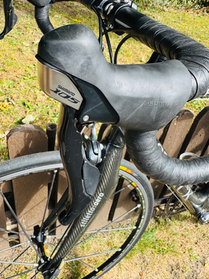 Storck scenario 1.1