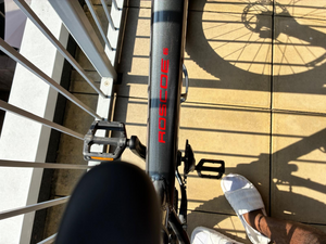Trek Roscoe 6 2024