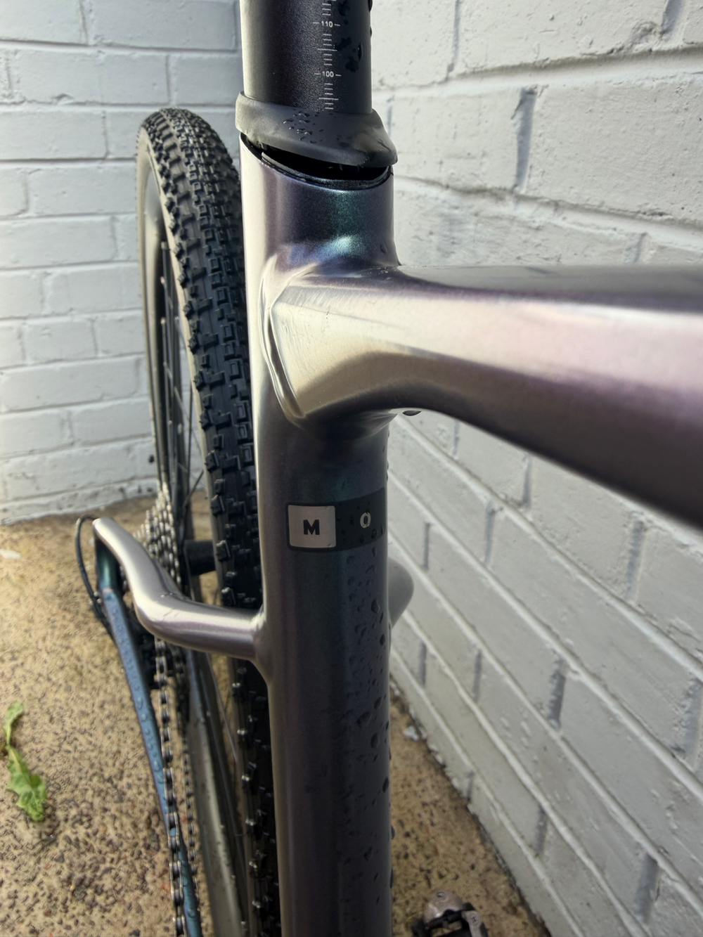Giant Revolt 0 Gravel Road 2024