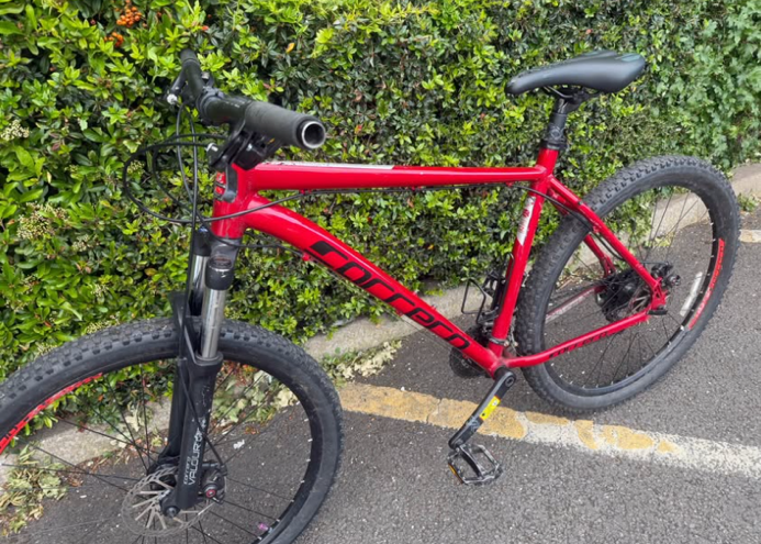 Carrera Valour Disc 2022