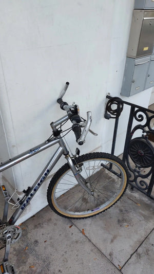 Raleigh MAX USA DESIGN